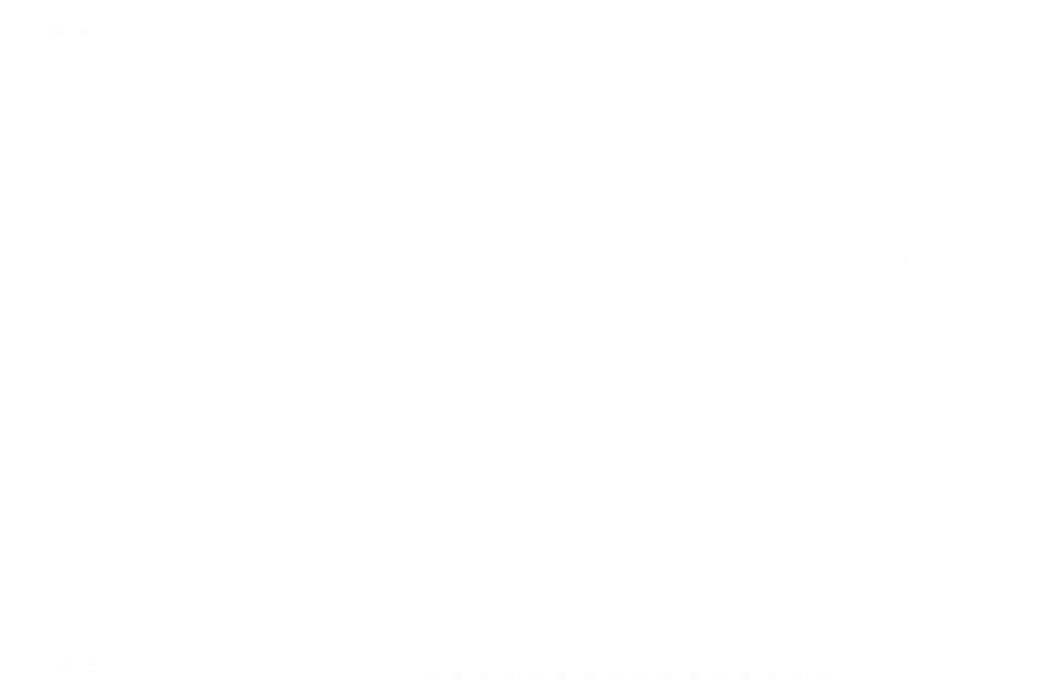 Buffy the Vampire Slayer