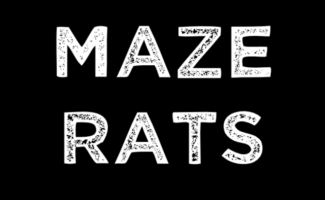 Maze Rats